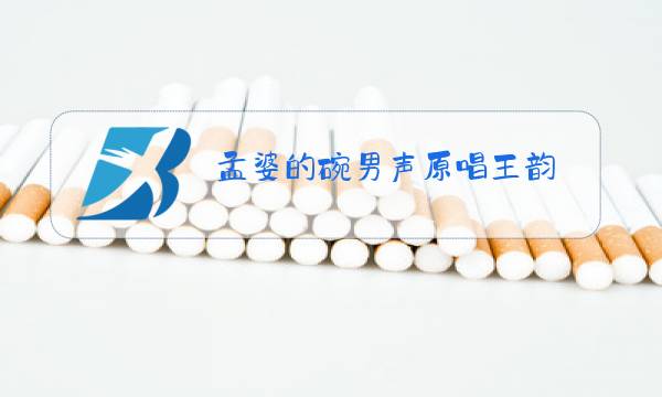 孟婆的碗男声原唱王韵