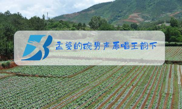 孟婆的碗男声原唱王韵下载图片