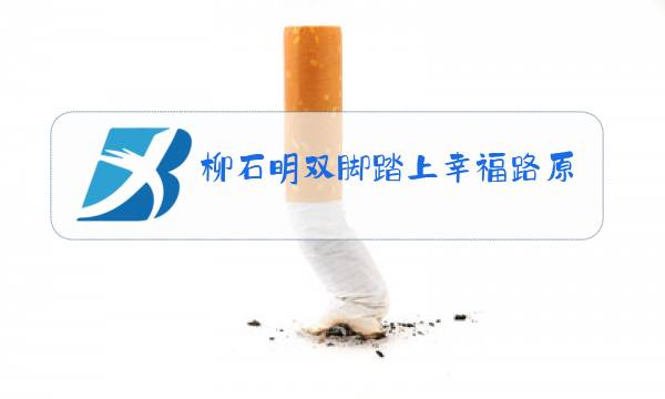 柳石明双脚踏上幸福路原唱独唱视频图片
