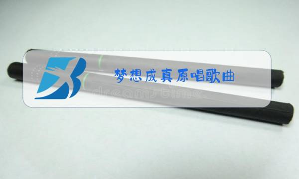 梦想成真原唱歌曲图片