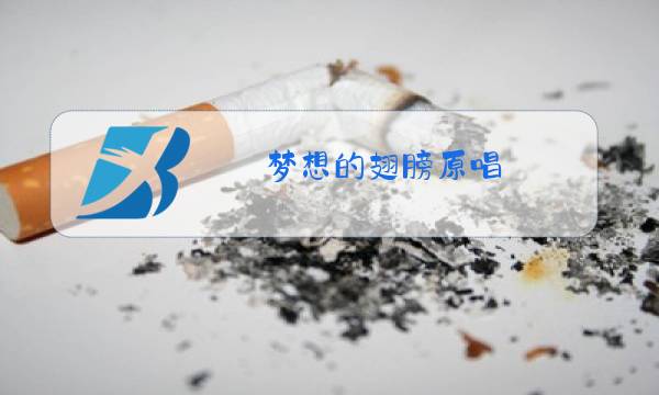 梦想的翅膀原唱图片