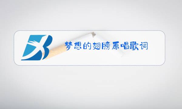 梦想的翅膀原唱歌词图片