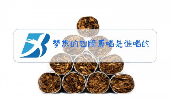 梦想的翅膀原唱是谁唱的图片