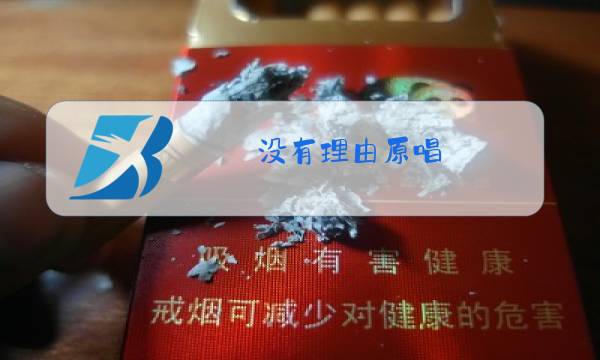 没有理由原唱图片