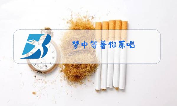 梦中等着你原唱图片