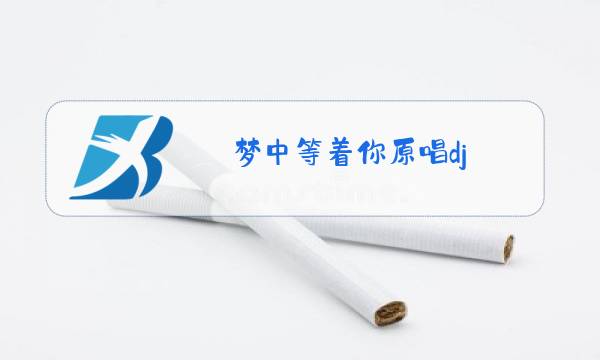 梦中等着你原唱dj图片