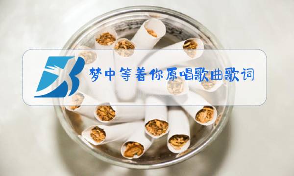 梦中等着你原唱歌曲歌词图片