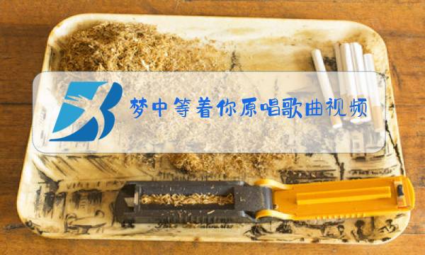 梦中等着你原唱歌曲视频图片