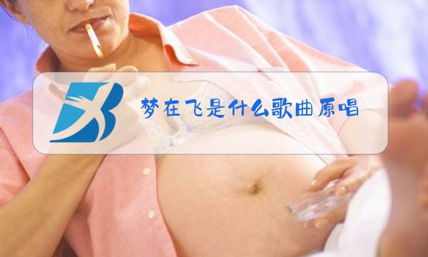梦在飞是什么歌曲原唱图片