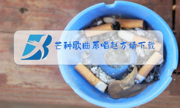 芒种歌曲原唱赵方婧下载图片