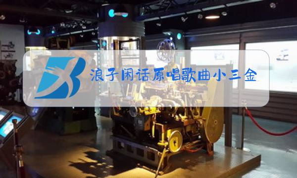 浪子闲话原唱歌曲小三金图片