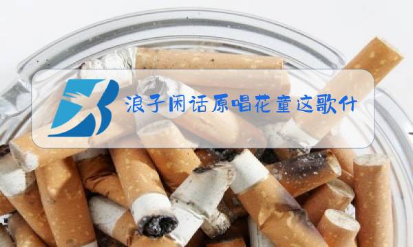 浪子闲话原唱花童这歌什么意思图片