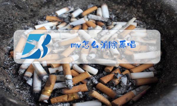 mv怎么消除原唱图片