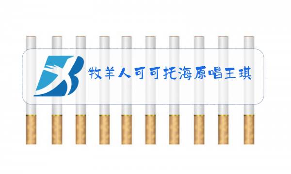 牧羊人可可托海原唱王琪歌词视频图片