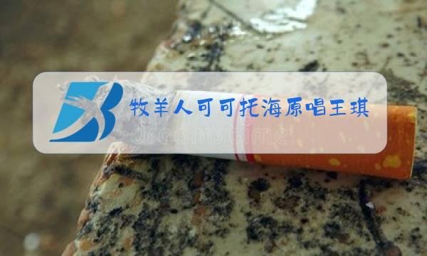 牧羊人可可托海原唱王琪的故事图片
