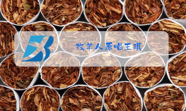 牧羊人原唱王琪图片
