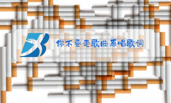 你不要走歌曲原唱歌词图片