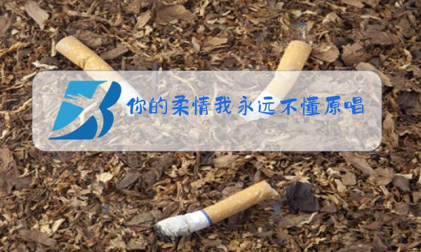 你的柔情我永远不懂原唱陈琳图片