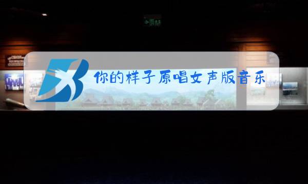 你的样子原唱女声版音乐图片