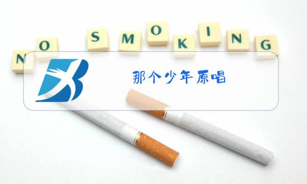 那个少年原唱图片