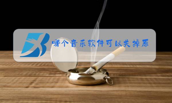 哪个音乐软件可以关掉原唱图片