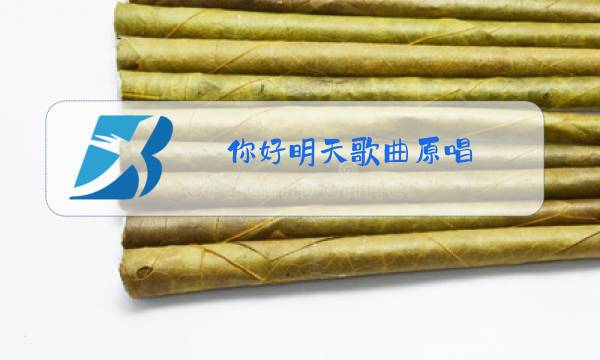 你好明天歌曲原唱图片