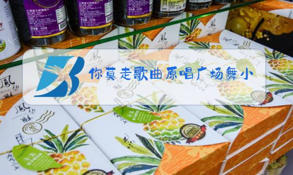 你莫走歌曲原唱广场舞小女孩带歌词图片