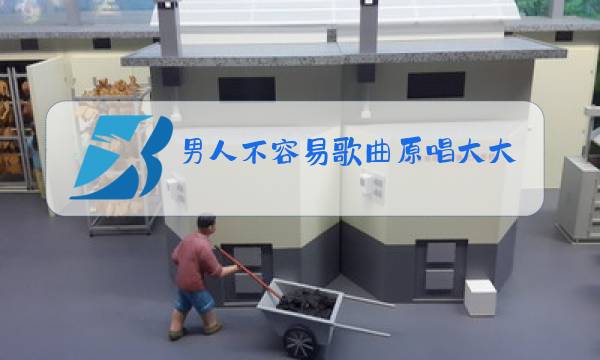 男人不容易歌曲原唱大大飞图片