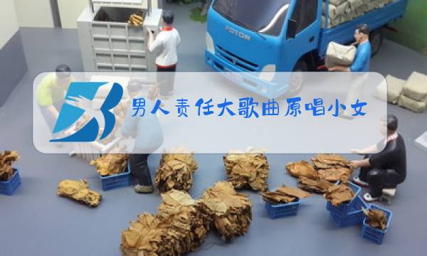 男人责任大歌曲原唱小女孩是谁图片