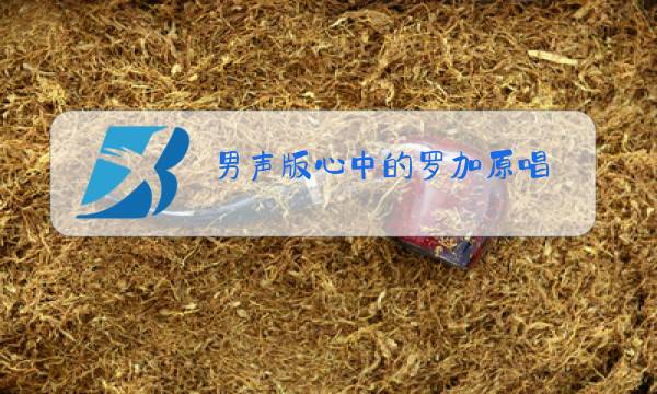 男声版心中的罗加原唱图片