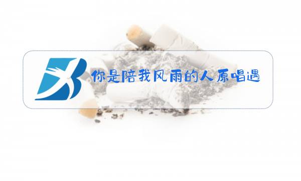 你是陪我风雨的人原唱遇上你是我的缘视频图片