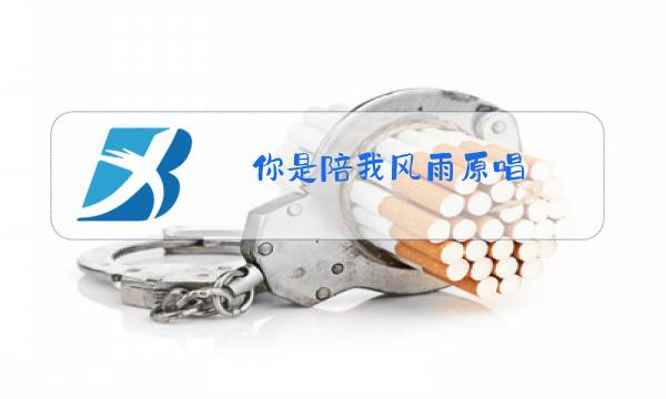 你是陪我风雨原唱图片