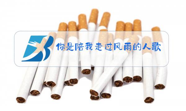 你是陪我走过风雨的人歌曲原唱视频图片