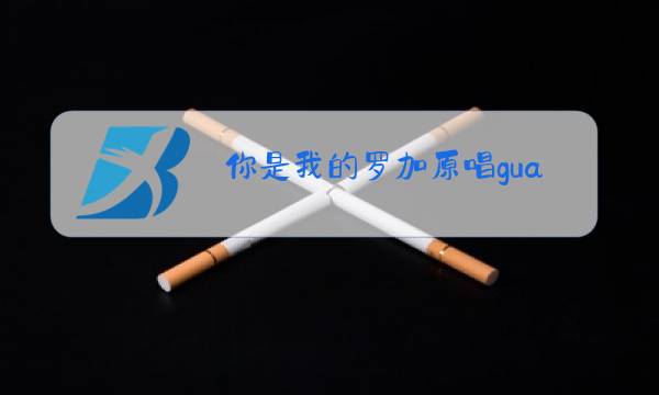 你是我的罗加原唱guagzhang图片