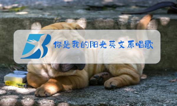 你是我的阳光英文原唱歌曲图片