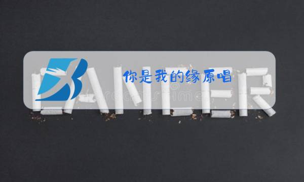 你是我的缘原唱图片