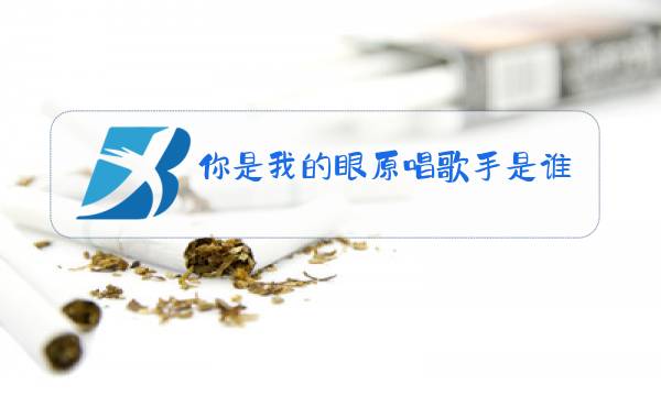 你是我的眼原唱歌手是谁图片