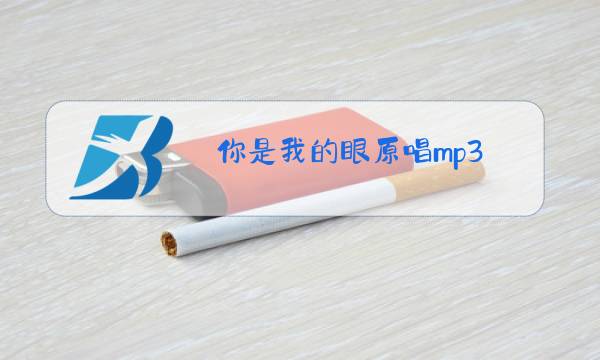 你是我的眼原唱mp3图片