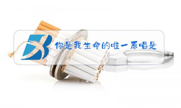 你是我生命的唯一原唱是谁图片