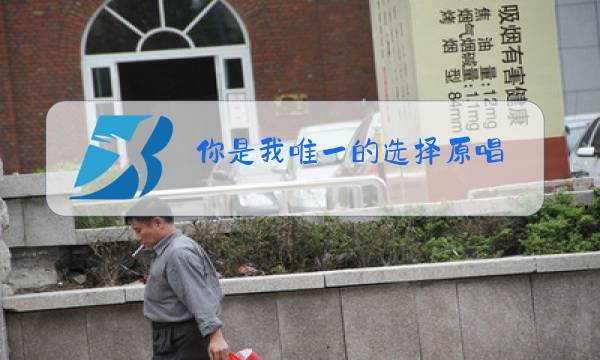 你是我唯一的选择原唱,小九九演唱图片