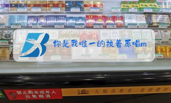 你是我唯一的执着原唱mp3图片
