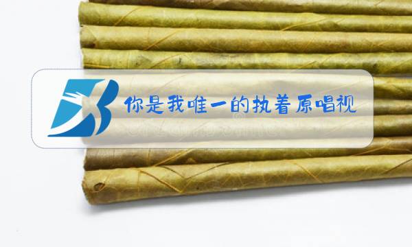你是我唯一的执着原唱视频图片