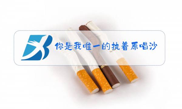你是我唯一的执着原唱沙哑是谁图片