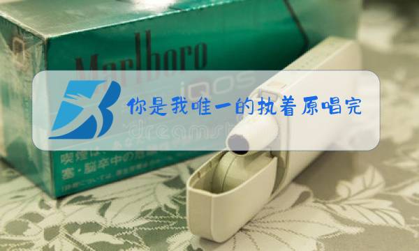 你是我唯一的执着原唱完整版视频图片