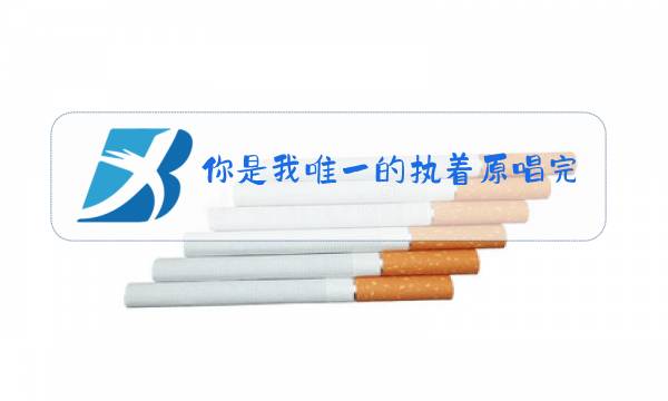 你是我唯一的执着原唱完整版下载图片