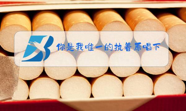 你是我唯一的执着原唱下载图片