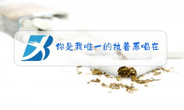 你是我唯一的执着原唱在线试听酷狗音乐图片