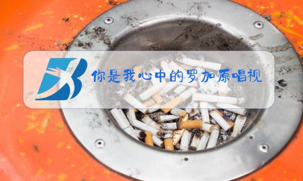 你是我心中的罗加原唱视频图片
