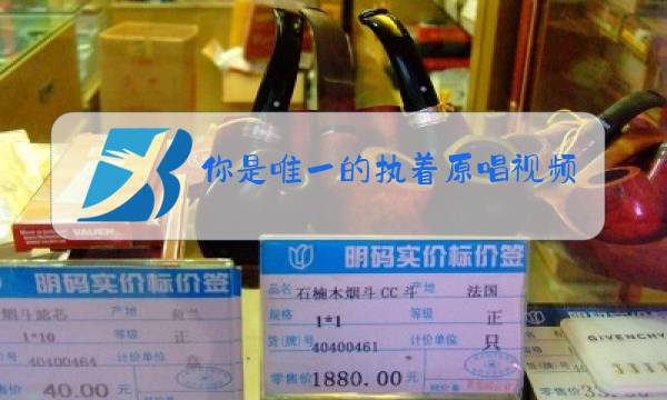 你是唯一的执着原唱视频图片