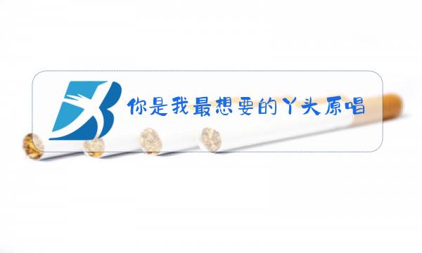 你是我最想要的丫头原唱图片